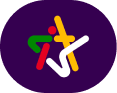 logo Cameroon International Tech Summit